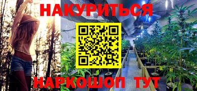 гидра Тверь