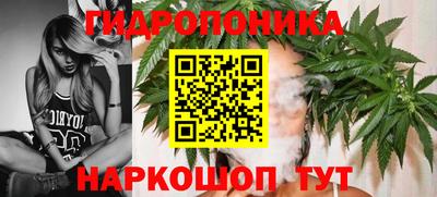 амф Тара