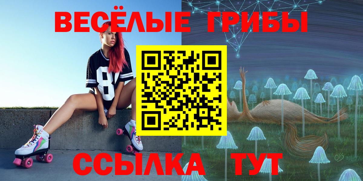 Галлюциногенные грибы ЛСД Новоалександровск