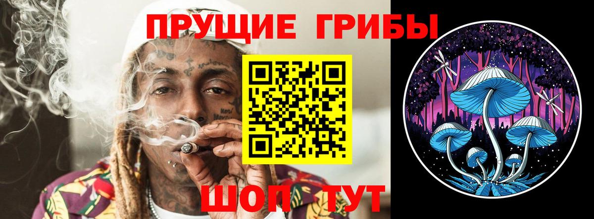 Новоалександровск  Галлюциногенные грибы MAGIC MUSHROOMS  Вход с VPN 